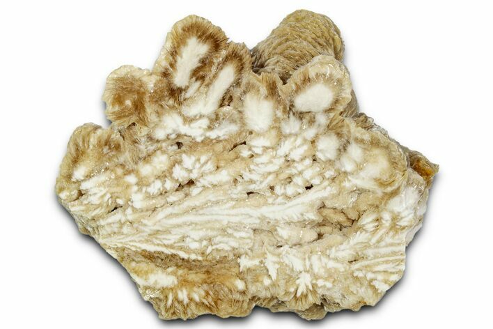 Polished Barite Slab - Lubin Mine, Poland #335183